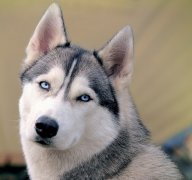 ����o������ô�죿�����������ô�죿