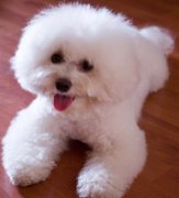 ����������ϡ��ô�죿����Ϊʲô��ϡ��