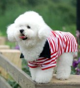 ��������������ô���ƣ�