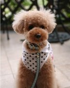 ̩�ϵ��˳�θ����ô��