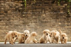 ������θ������ô�죿