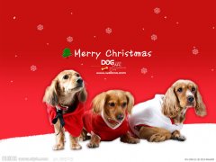 ���ܵ��˳�θ������ʲô�أ�