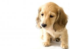 ���ʹ������ë���й���