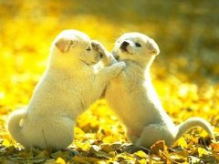 ��ô����������������ϰ��ͼ��