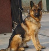 ������θ����ô�죿