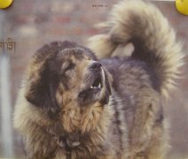 �����г�θ����ô���ƣ�