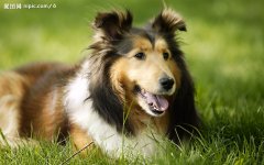 ����ȱ����ô��