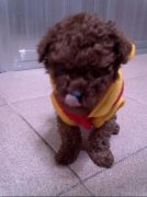 ̩����ô������ã�