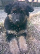 ����ȱ����ô�죿