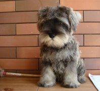 ����ʲôʱ����Ҫ���ƣ���ͼ��