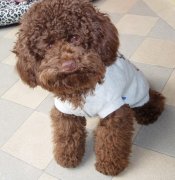 ����Ͷ�����ô�죿