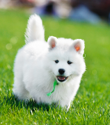 ��ĦҮ��θ������ô�죿