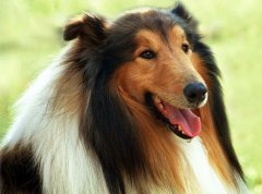 ������ë��ô���£�ͼ��