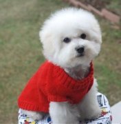 ���ܳԱ����ô�죿��ͼ��