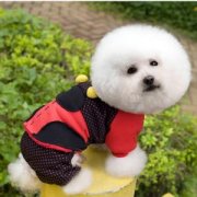 ������ʳ���ô�죿��ͼ��