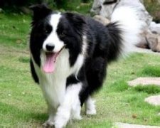 �����ҳԶ�����ô�죿��ͼ��