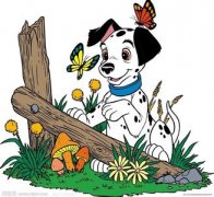 ����ƶѪ��ʲô�ã���ͼ��