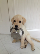 ��ëȮ��ʲô�ã�