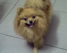 ����ë������ô��?��ͼ��