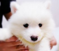 ��ĦҮ��ë��ô�죿��ͼ��