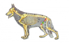 ���칷����ϲ���Է�