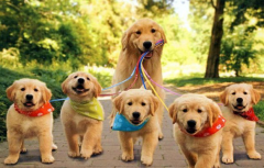 ������ϲ���Է���ϲ���Թ�����ô��