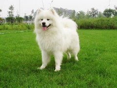 ��ëΪʲô��ʺ��ͼ��