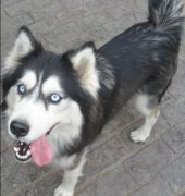 �������ȷ�����ô�죨ͼ��