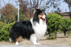 ϲ�ֵٳ�ʲô��