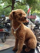 ̩�ϻ�����Ҫע����Щ��