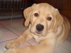 ���������ʱ��Ҫ���ƣ�