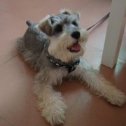 ����ǰ��������ô�죿����ǰ�����������Ʒ�