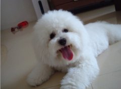 ��������������ô�죨ͼ��