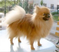 ���������ڳ�ʲô���أ�ͼ��