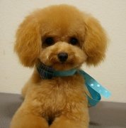 ����ȱ������ô���䣿��ͼ��