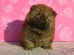 ����ȱ�������ʵ�Σ������Щ����ͼ��