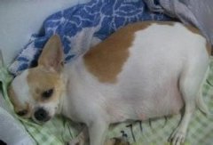 �������Զ���Ż����ô�죿��ͼ��