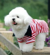 �����ȷ���������ƣ���ͼ��