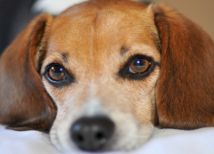 ѩ����θ������ô����