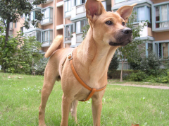 ������ʲôëɫ��