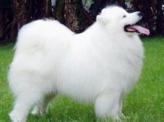 ��ĦҮ�Բ���ô���£���ͼ��