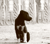 ����������ô��