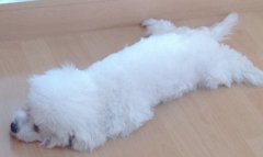 ����ǰ������ô�죿Ӧ��������ƣ�