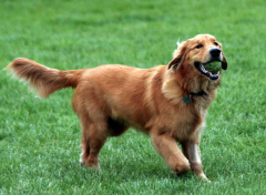 С��ȱ����ô��