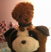 ̩�ϲ���Թ�����ô��