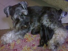 ����������ô�죿����������ԭ��