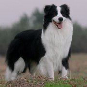 ����ȱ����ô�죿��ͼ��