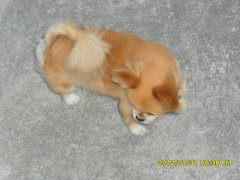 ����ȱ�Ƶı�������Щ��