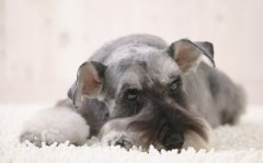 ������ۺ�����ô�죿��ͼ��