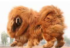 ������θ����ô����